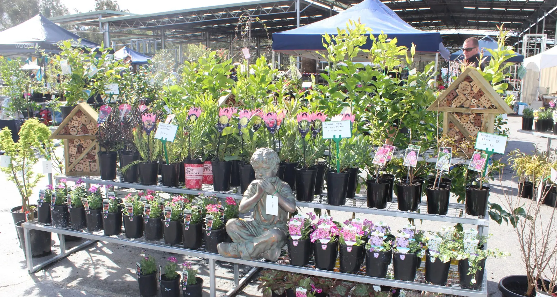 Yea Garden Expo has something for every gardener