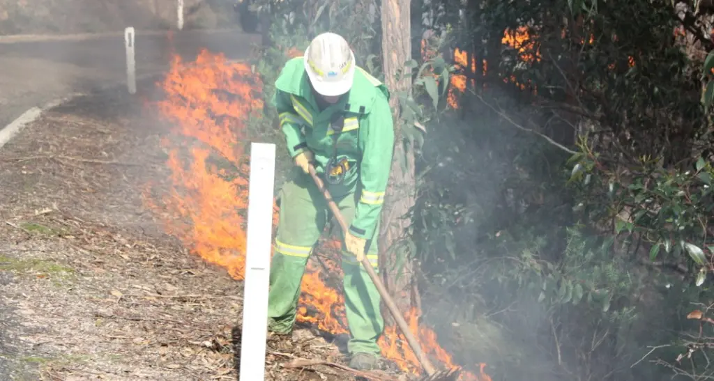 Coalition to double prescribed burns