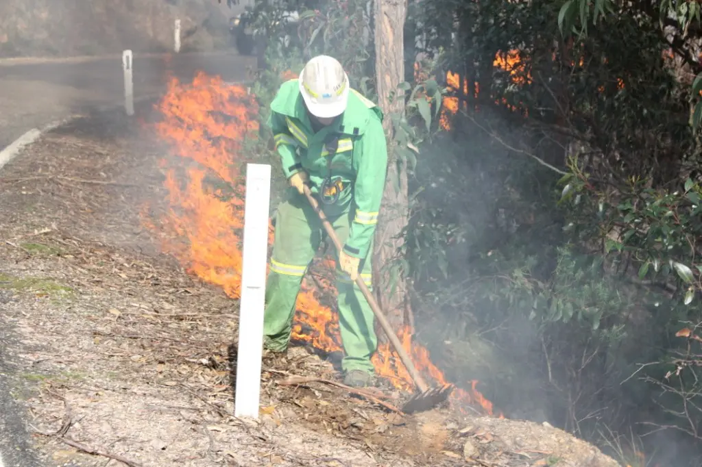 <p>FUEL REDUCTION: The Victorian Liberals and Nationals are promising to double prescribed burns if elected in November. PHOTO: Department of Environment and Primary Industries</p>\\n