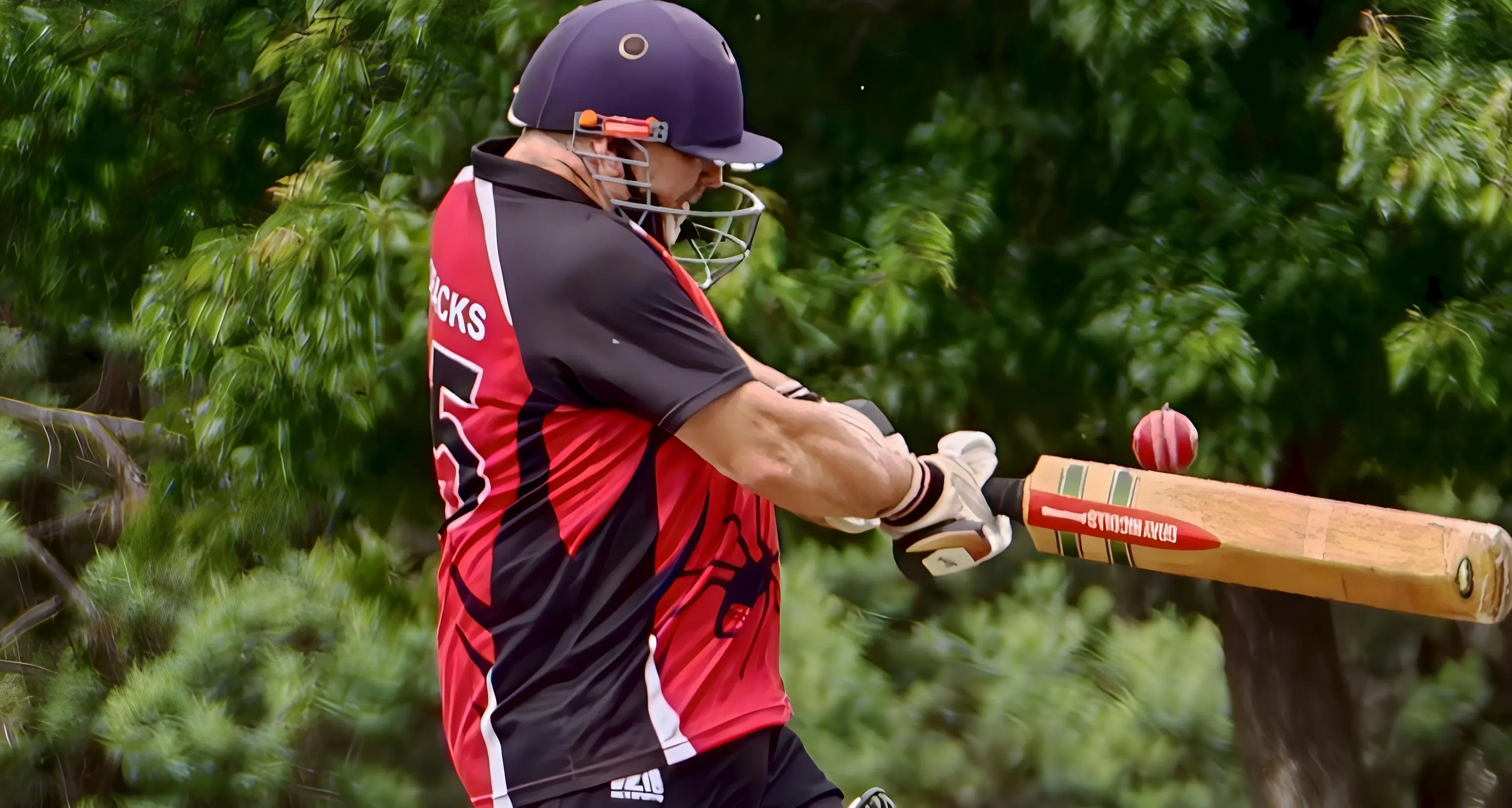 One point the margin in winning Alexandra cricket matches